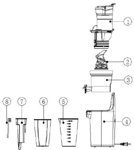 LIVOO DOP238 - DESCRIPTION - 1