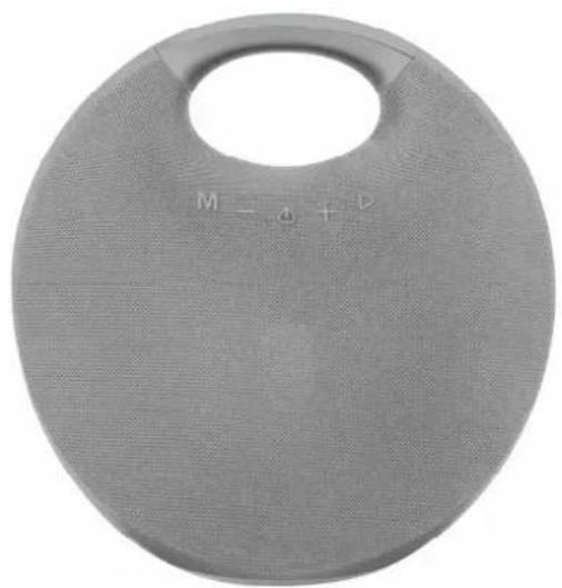 LIVOO TES245G - Haut-parleur compatible Bluetooth® - 1