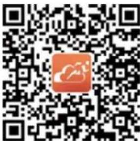 LIVOO TEC616 - LIGAR - 2