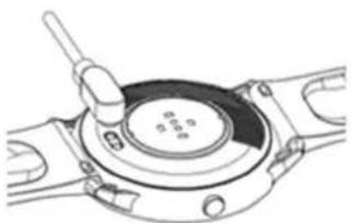 LIVOO TEC616 - POWER ON - 1