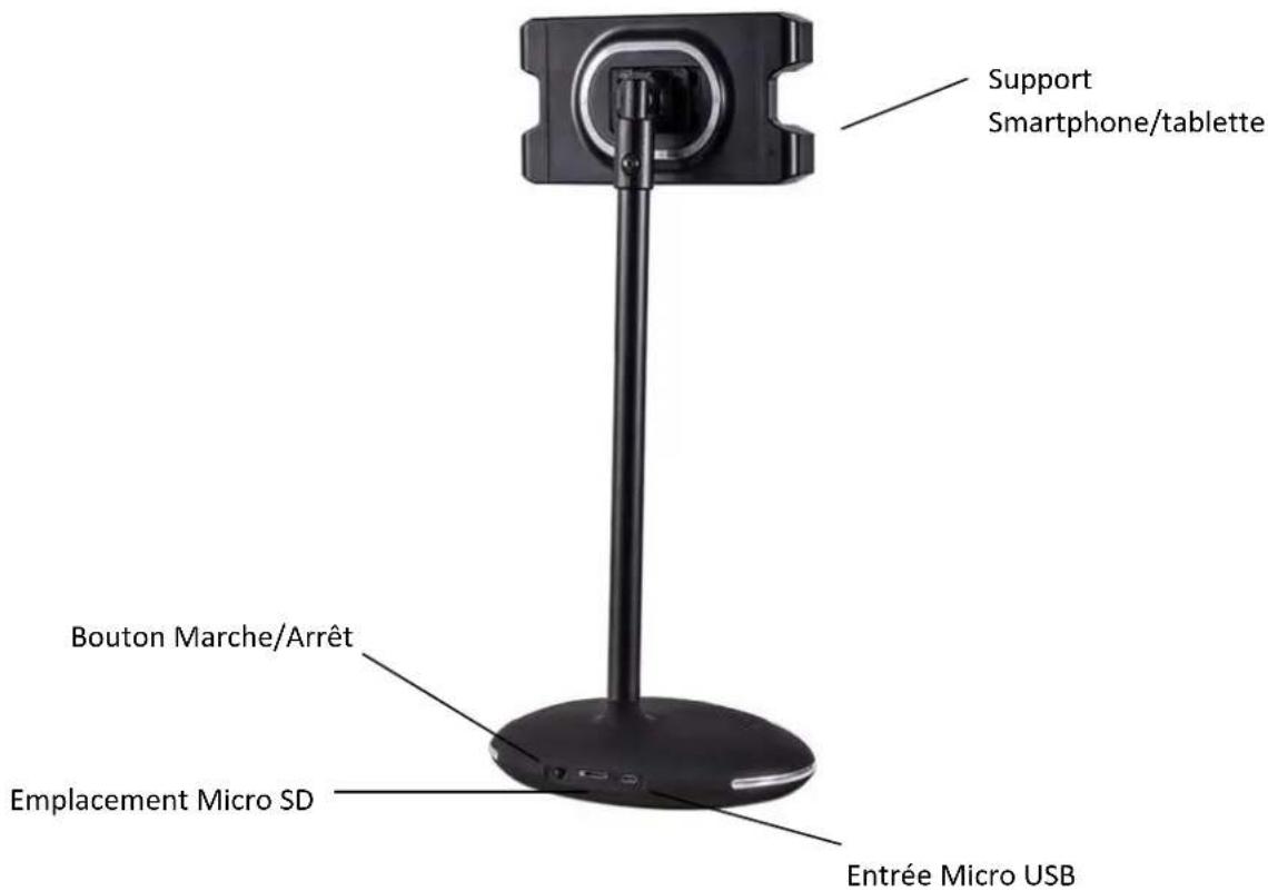 LIVOO TES239 - DESCRIPTION DU PRODUIT - 1