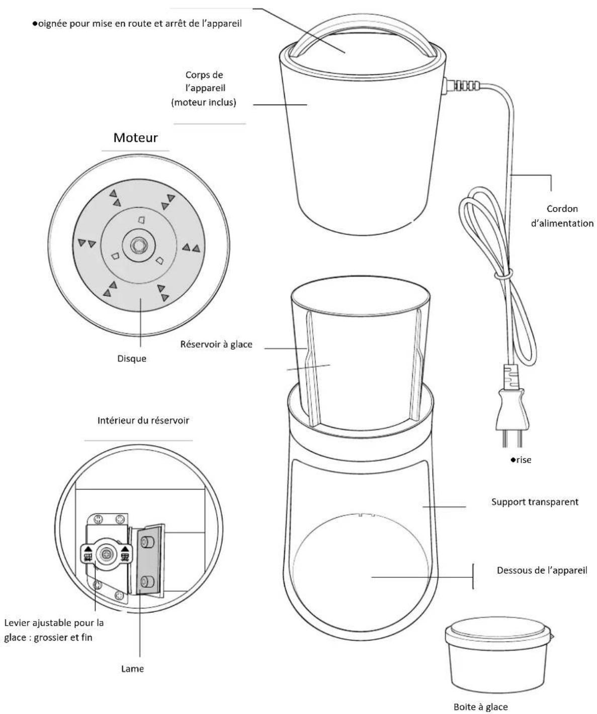 LIVOO DOM462 - D7SCRI-TION - 1