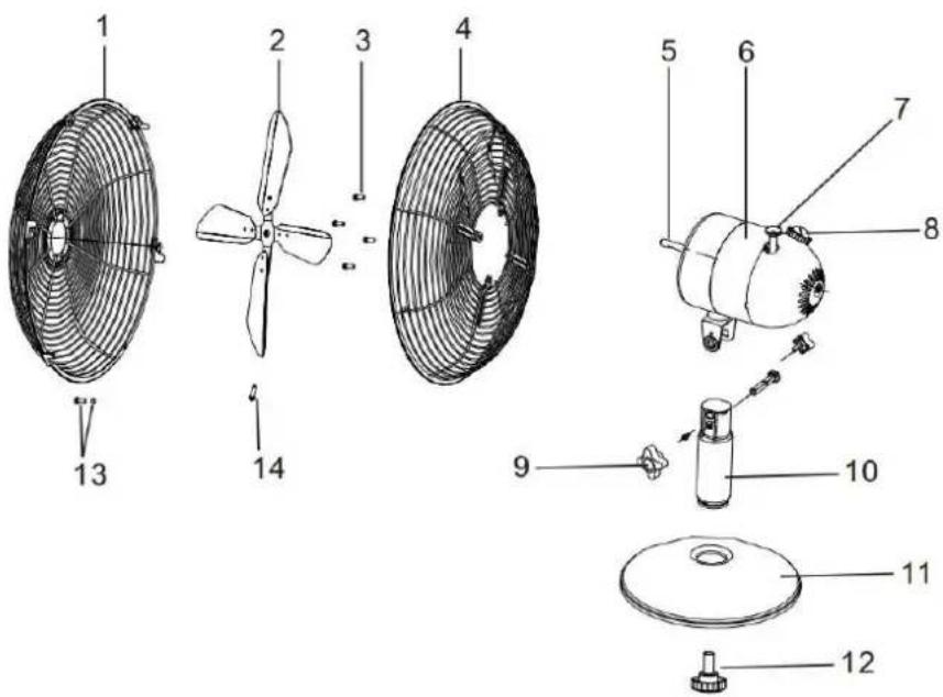 LIVOO DOM386 - DESCRIPTION - 1