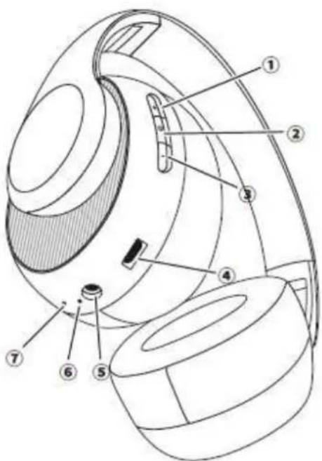 LIVOO TES227 - DESCRIPTIF DU PRODUIT - 1