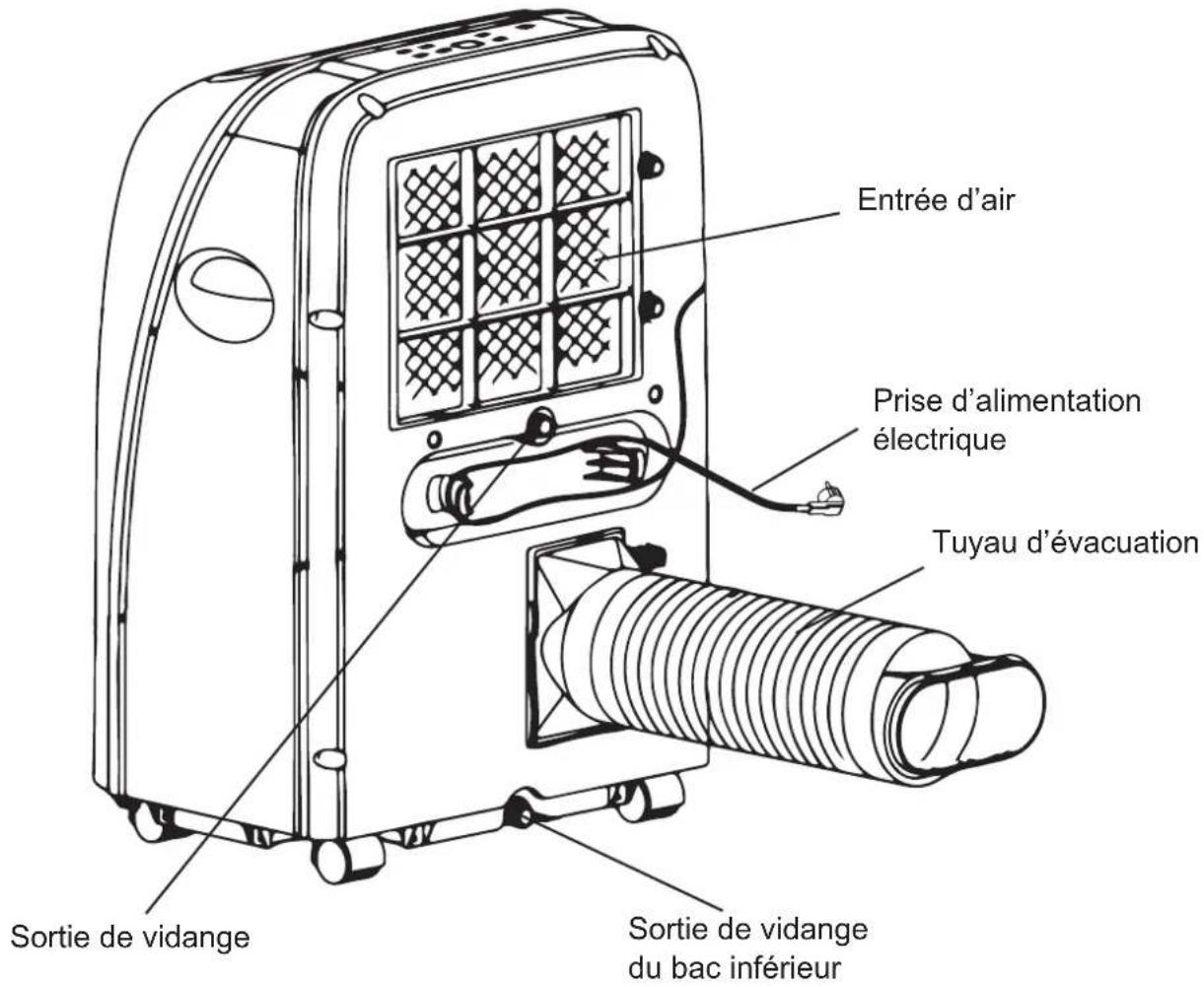Entrée d'air Prise d'alimentation électrique Tuyau d'évacuation Sortie de vidange Sortie de vidange du bac inférieur
