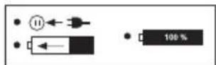 PARKSIDE PBSPA 12 C3 - Symbols on the recharger - 8