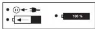 PARKSIDE PBSPA 12 C3 - Symbole na tadowarce - 8