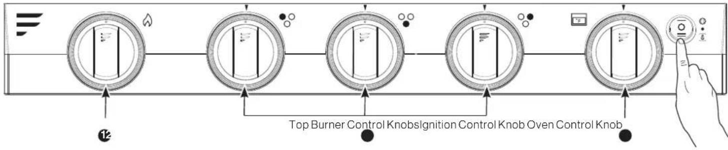 Furrion F1S21L02ABL - Light Control - 1