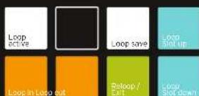 Reloop NEON - MANUAL LOOP: - 1