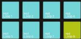 Reloop NEON - HOT LOOP: - 1