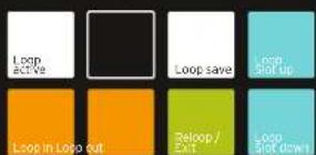 Reloop NEON - MANUAL LOOP: - 1