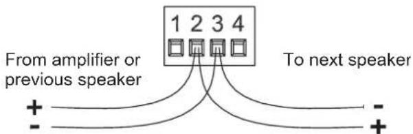 ELECTRO-VOICE EVIDP6.2 - Câblage en parallèle - 1