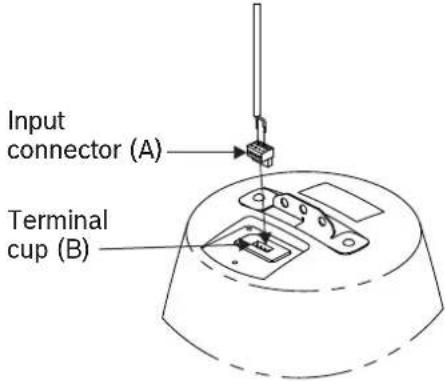 ELECTRO-VOICE EVIDP6.2 - Branchement dans le connecteur - 1