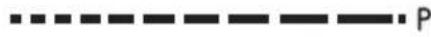 TEKA IZC 32300 DMS - DE - 103
