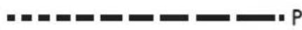TEKA IZC 32300 DMS - DE - 118