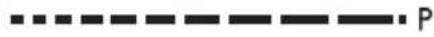 TEKA IZC 32300 DMS - DE - 116