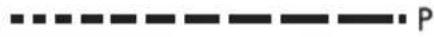 TEKA IZC 32300 DMS - DE - 101