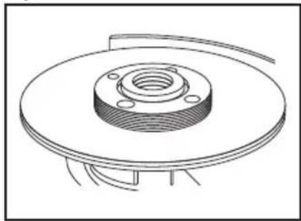 SILVERLINE 571295 - 21