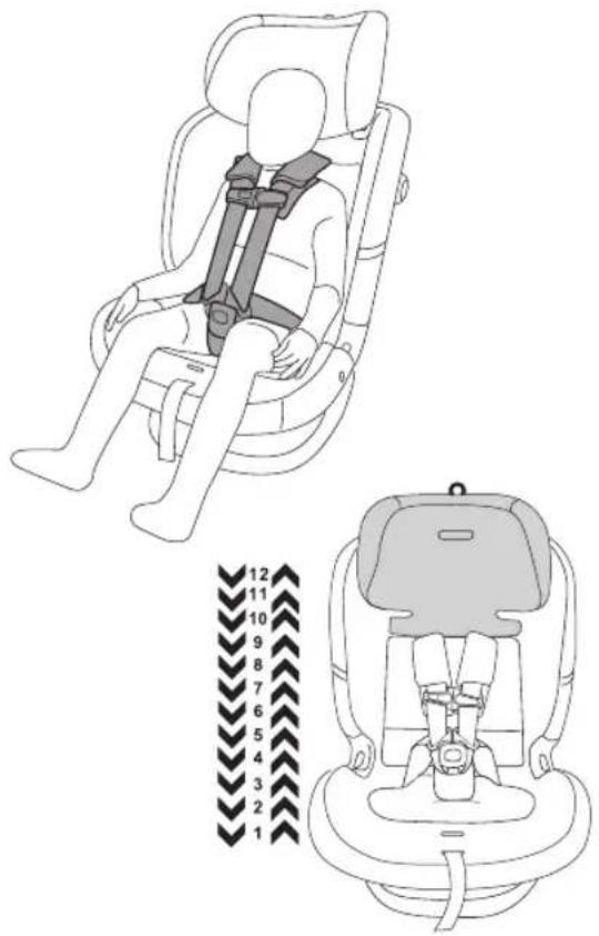 PEG PEREGO Primo Viaggio All in One - Réglage et utilisation du harnais - 1