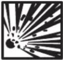 Auto Joe 24VAJCMAX - Safety Symbols - 7