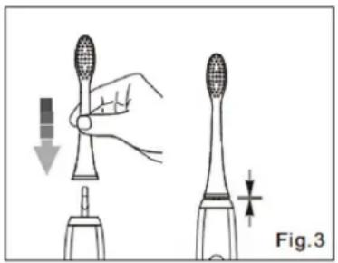 TECHWOOD TH5501 - BROSSE à DENTS - 1
