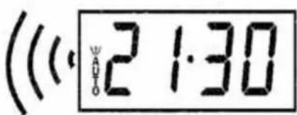 Schock SFN54BKN - AUFZEICHNUNGEN - 16