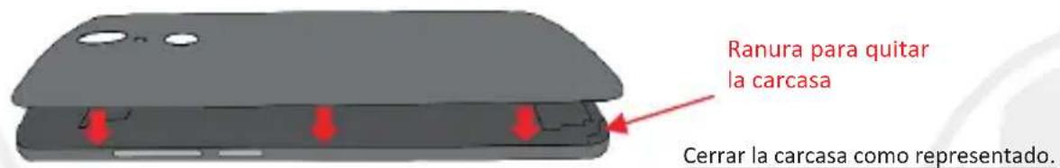 NGM You Color Smart 5 Plus - 2
