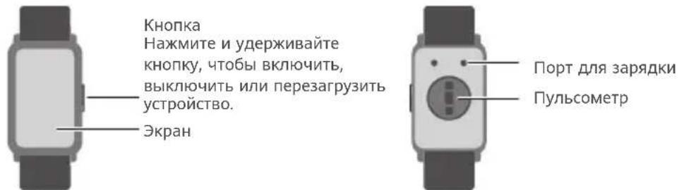 HONOR Watch ES - Зарядка - 1