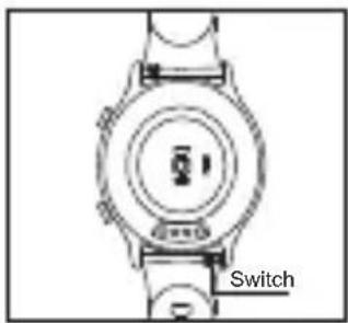 Switch