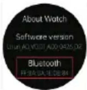 About Watch Software version Liun AG VQ01 A00:0425.DZ Bluetooth FF:84:UA:1E:DE:84