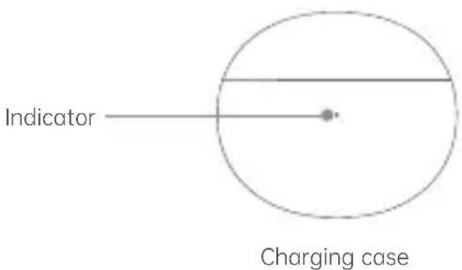 Indicator Charging case