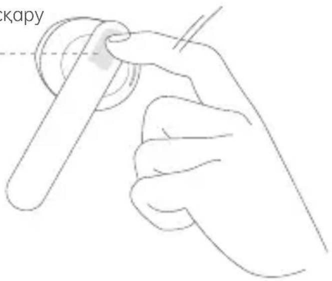 ckapy