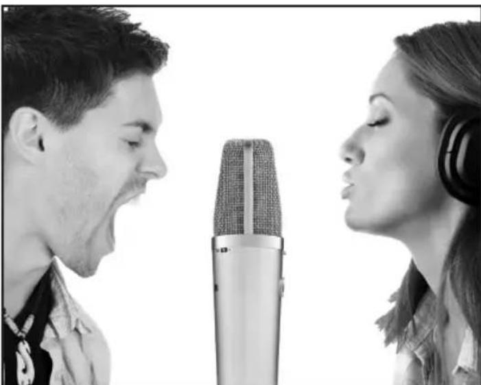 Warm Audio WA67 - ILLUSTRATIONS - 2