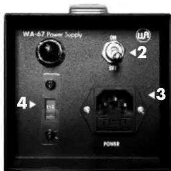 Warm Audio WA67 - XLR OUTPUT - 3