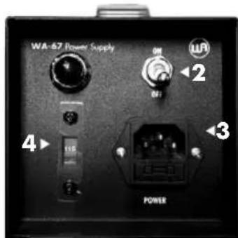 Warm Audio WA67 - Salida XLR - 3