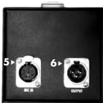 Warm Audio WA67 - Salida XLR - 2