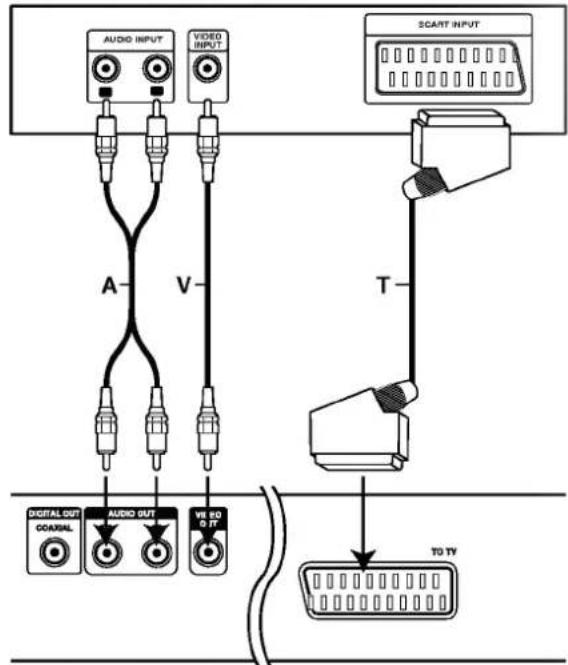 AUDIO INPUT VIDEO INPUT A V SCART INPUT T DIGITAL OUT COASTRAL AUDIO OUT VS 80 0 TF TO TV
