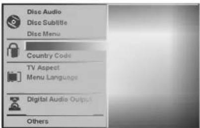 Disc Audio Disc Subtitle Disc Menu Country Code TV Aspect Menu Language Digital Audio Outputs Others