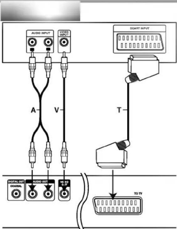 AUDIO INPUT VIDEO INPUT SCART INPUT A V T DIGITAL OUT COASTRAL AUDIO OUT V8 ED 0.17 TD TV