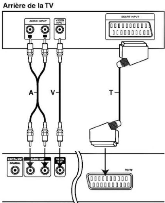 Arrière de la TV AUDIO INPUT VIDEO INPUT SCART INPUT A V T DIGITAL OUT COASTAL AUDIO OUT V8 50 0.17 TO TV