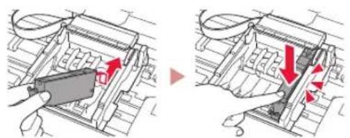 Asenna mustesaillio. 1