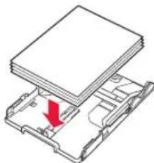 CANON PIXMA TS705a - Fyll papepper. - 1