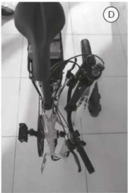 EMG Royal - Pneumatici - 4