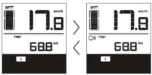EMG Royal - Anzeigen - 2