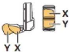Y X X Y