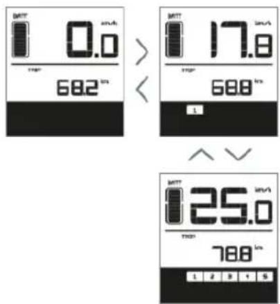 EMG Royal - Livello di assistenza - 1