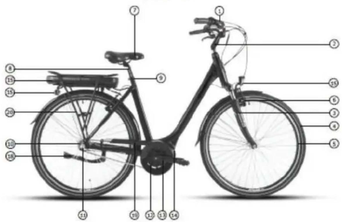 Labeled diagram of a bicycle with numbered parts for identification
