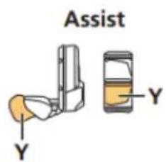 Assist Y Y