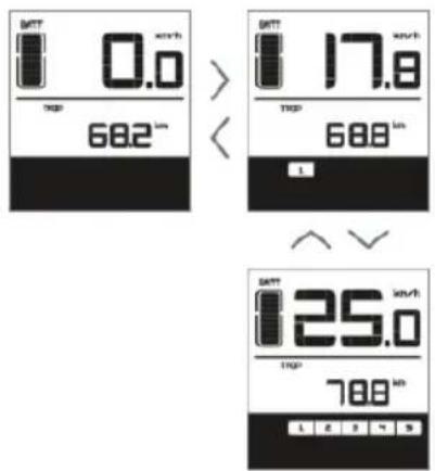 EMG Royal - Niveau d'assistance - 1