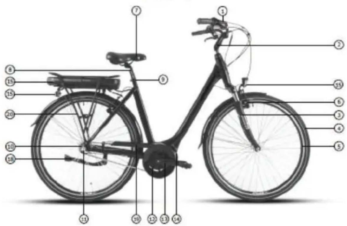Labeled diagram of a bicycle with numbered parts for identification